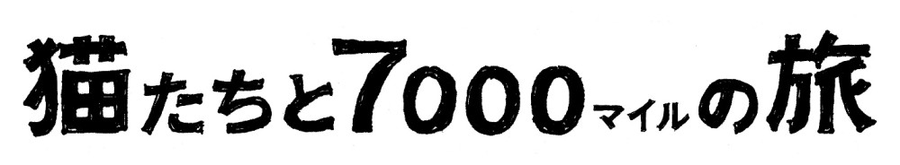 猫たちと7000マイルの旅
