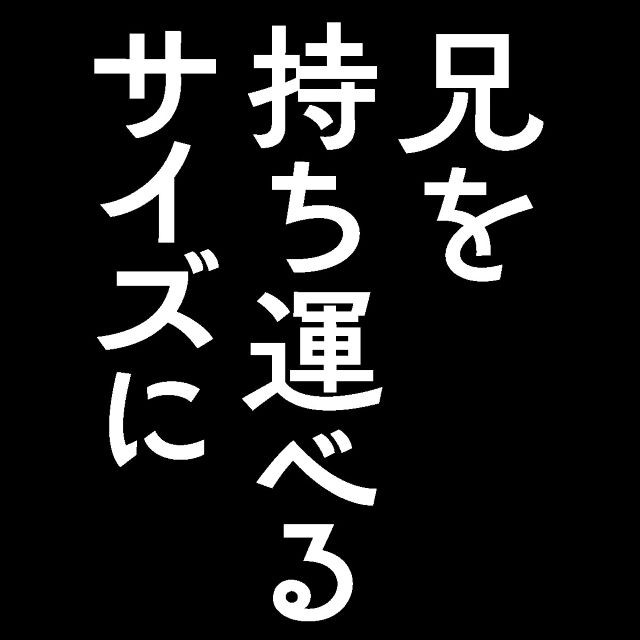 兄を持ち運べるサイズに